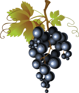 Grape PNG image-2970